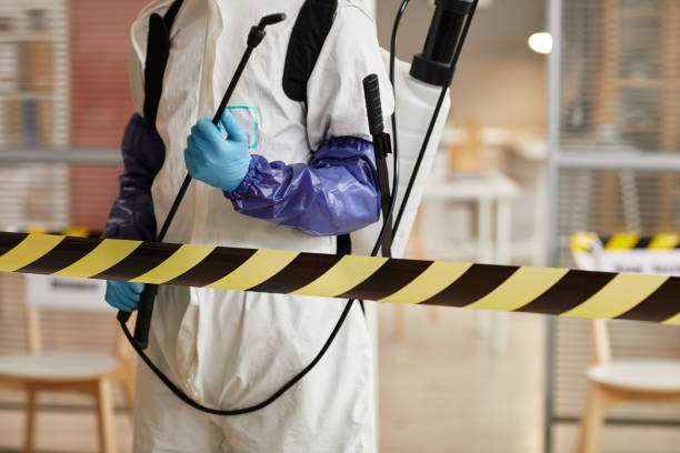 Professional Hoarding Cleanup technician working in Randolph, MA
